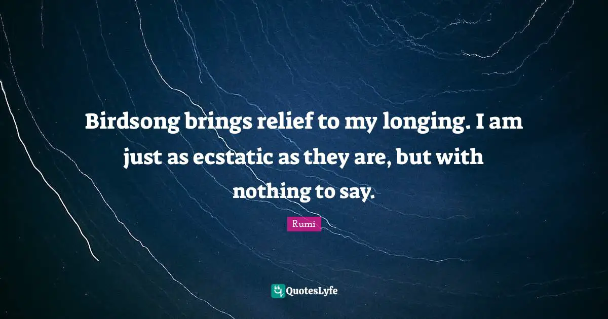 Ecstatic Quotes: "Birdsong brings relief to my longing. I am just as ecstatic as they are, but with nothing to say."