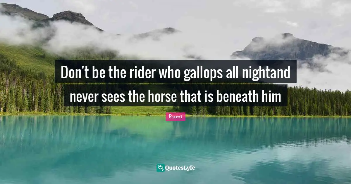 Don't be the rider who gallops all nightand never sees the horse that is beneath him