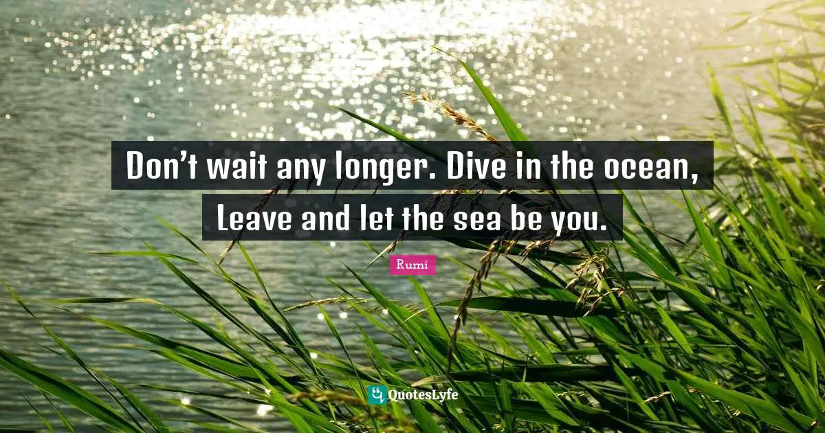 Don’t wait any longer. Dive in the ocean, Leave and let the sea be you.