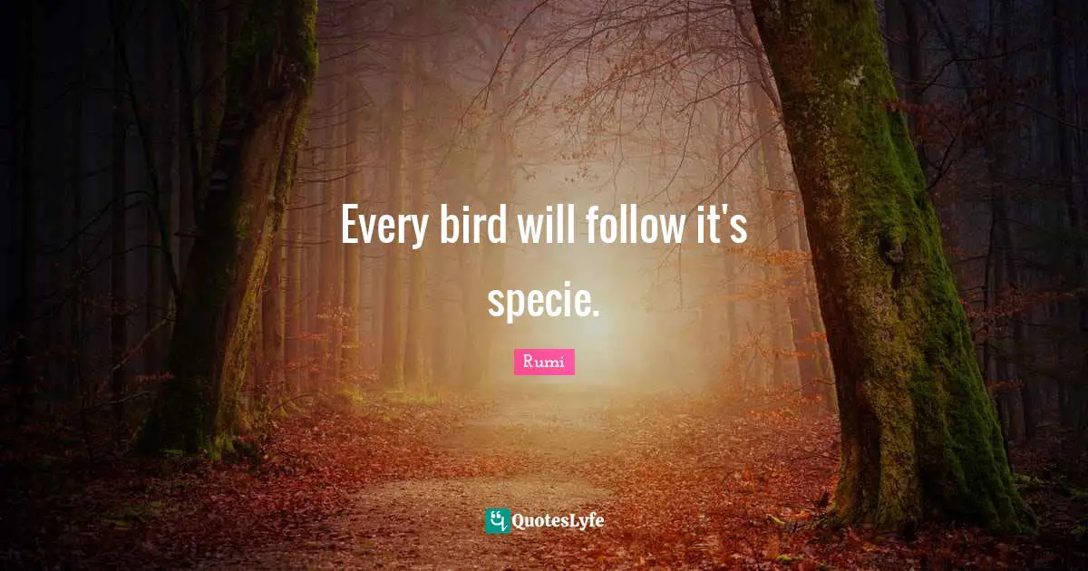 Every bird will follow it's specie.