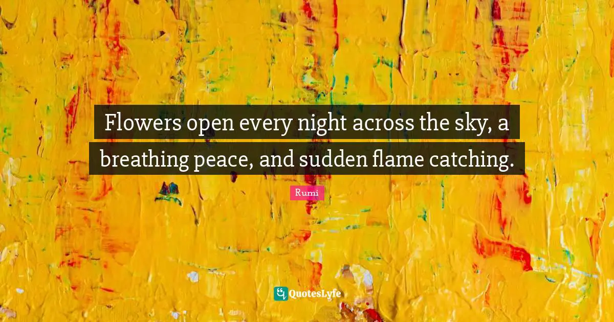 Flowers open every night across the sky, a breathing peace, and sudden flame catching.