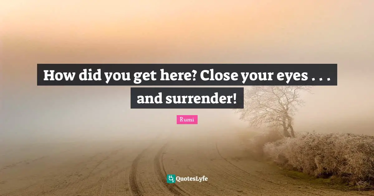How did you get here? Close your eyes . . . and surrender!