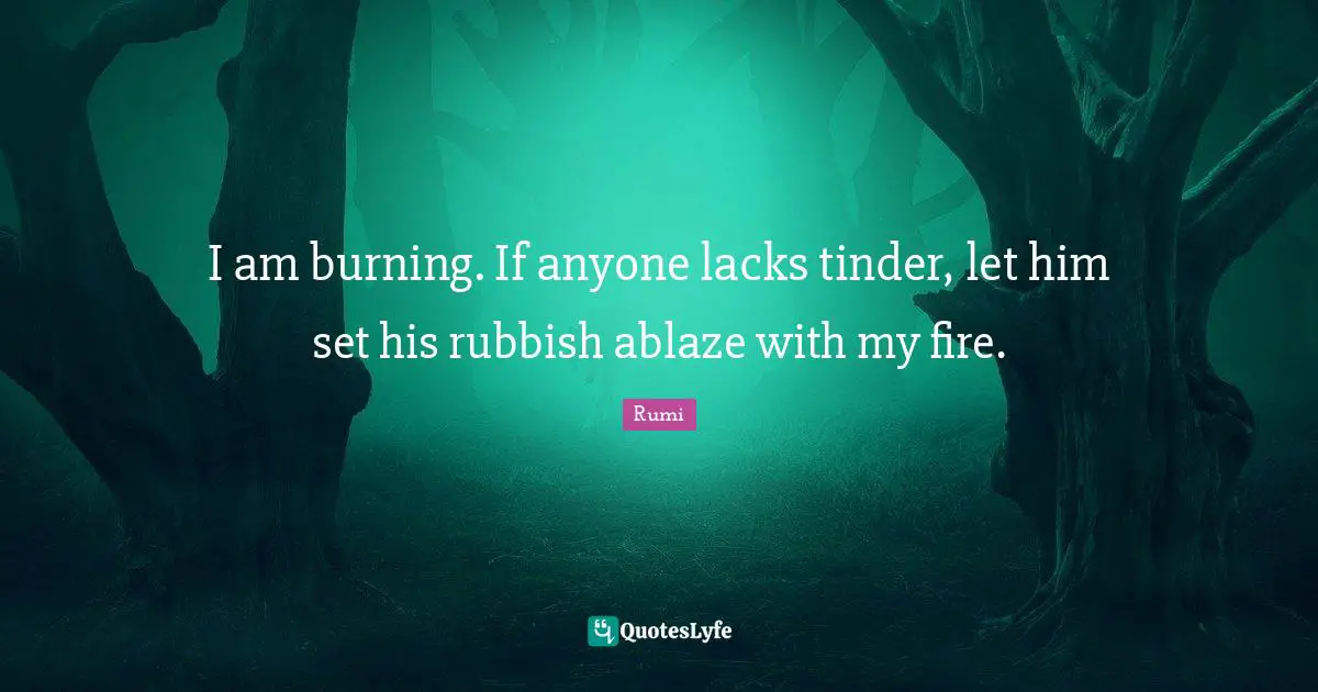 I am burning. If anyone lacks tinder, let him set his rubbish ablaze with my fire.