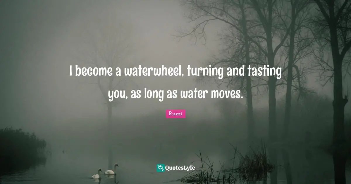 I become a waterwheel, turning and tasting you, as long as water moves.