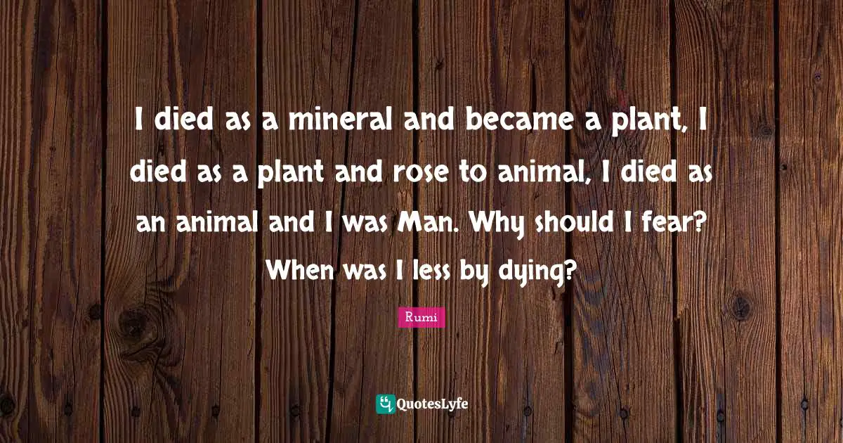 I died as a mineral and became a plant, I died as a plant and rose to animal, I died as an animal and I was Man. Why should I fear? When was I less by dying?