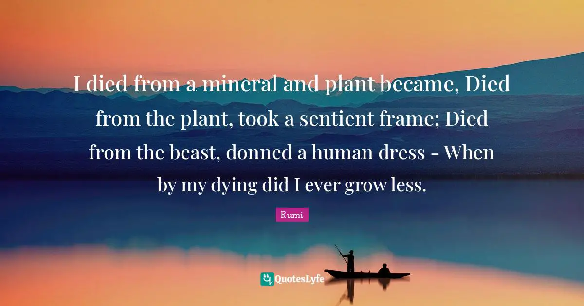 I died from a mineral and plant became, Died from the plant, took a sentient frame; Died from the beast, donned a human dress - When by my dying did I ever grow less.