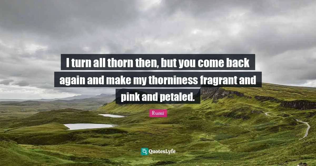 I turn all thorn then, but you come back again and make my thorniness fragrant and pink and petaled.