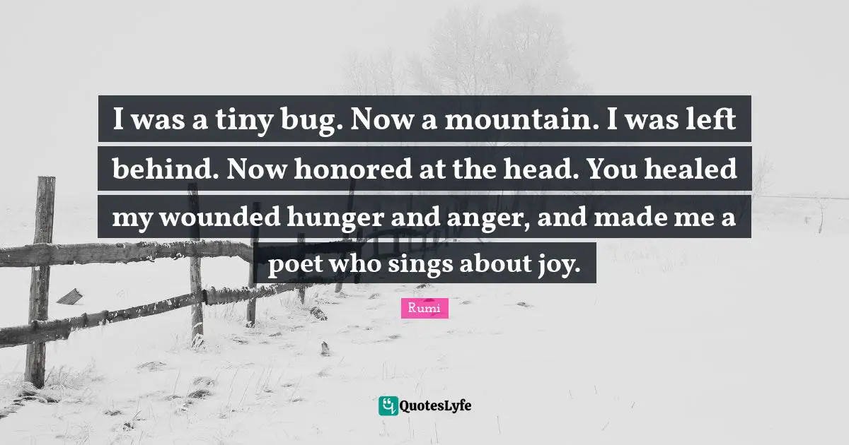 I was a tiny bug. Now a mountain. I was left behind. Now honored at the head. You healed my wounded hunger and anger, and made me a poet who sings about joy.