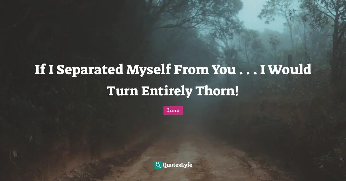 If I Separated Myself From You . . . I Would Turn Entirely Thorn!
