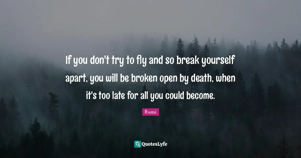 If you don't try to fly and so break yourself apart, you will be broken open by death, when it's too late for all you could become.