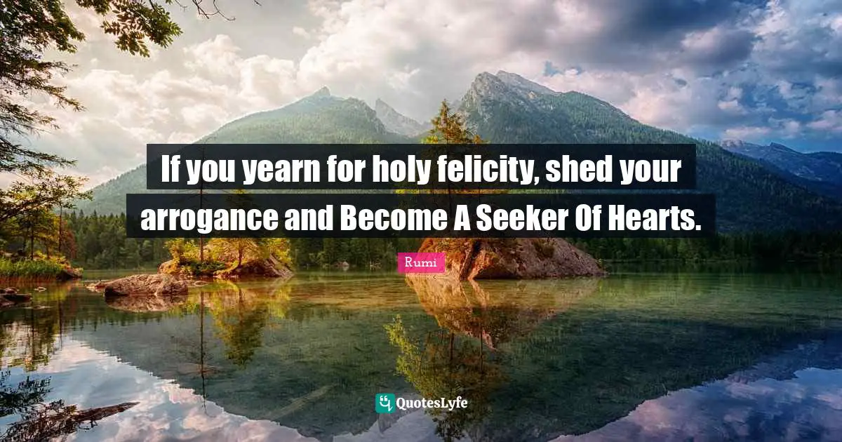 Felicity Quotes: "If you yearn for holy felicity, shed your arrogance and Become A Seeker Of Hearts."