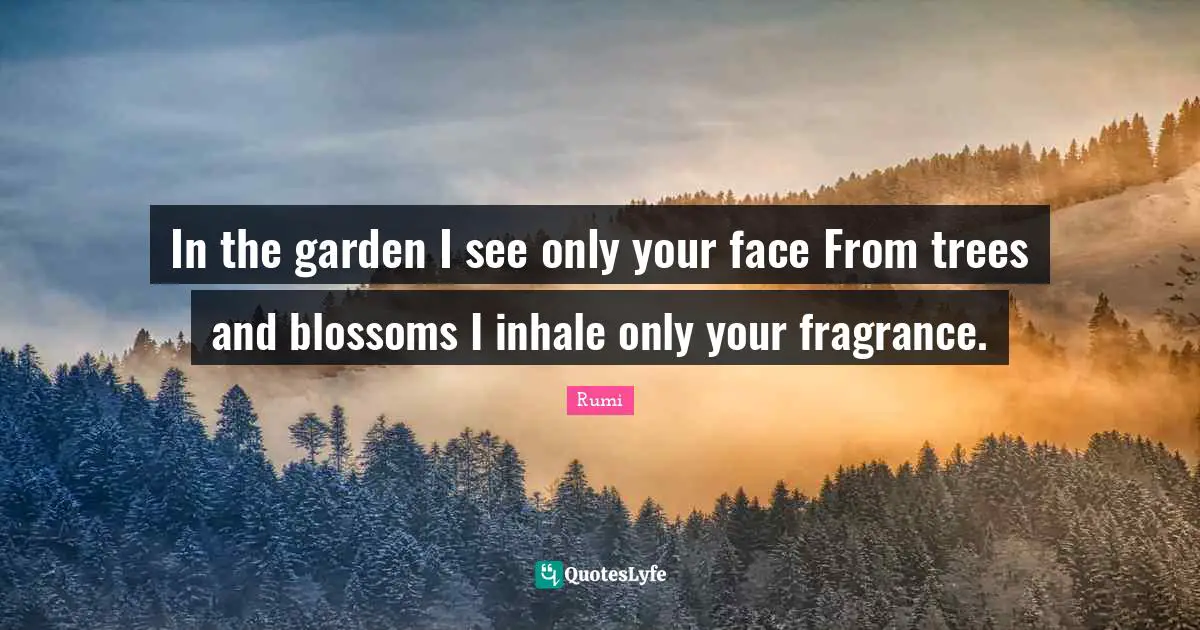In the garden I see only your face From trees and blossoms I inhale only your fragrance.