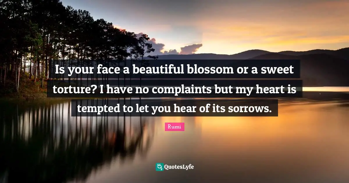 No Complaints Quotes: "Is your face a beautiful blossom or a sweet torture? I have no complaints but my heart is tempted to let you hear of its sorrows."