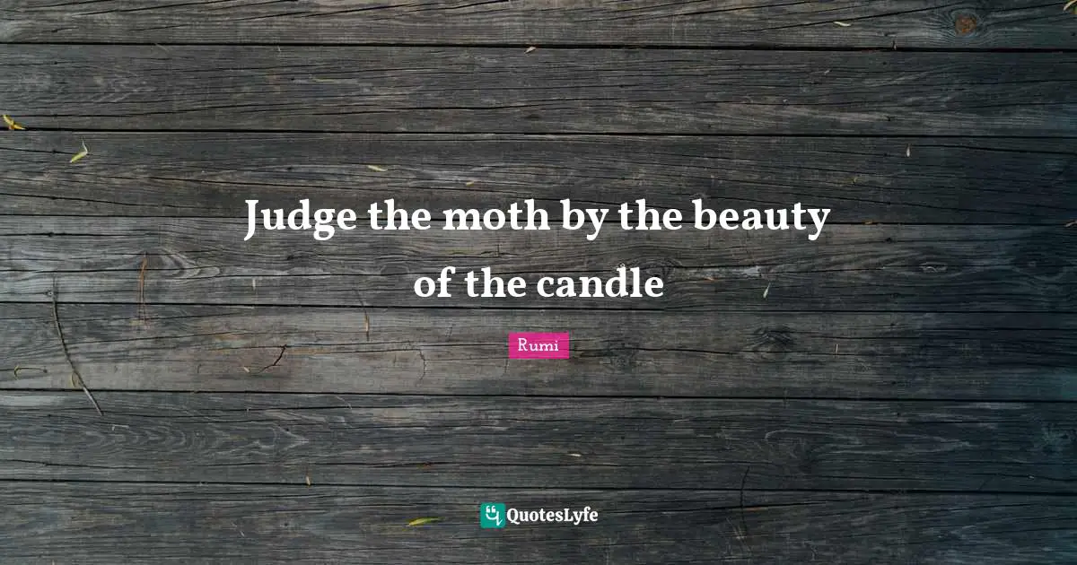 Judge the moth by the beauty of the candle