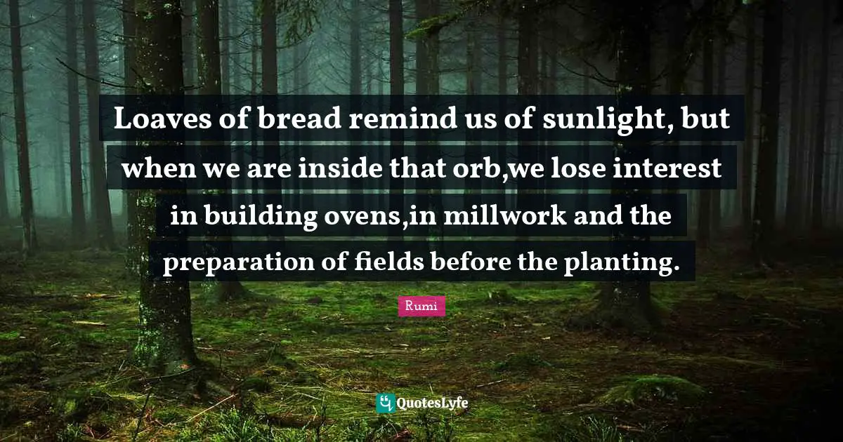 Loaves of bread remind us of sunlight, but when we are inside that orb,we lose interest in building ovens,in millwork and the preparation of fields before the planting.