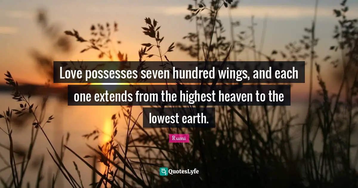 Love possesses seven hundred wings, and each one extends from the highest heaven to the lowest earth.