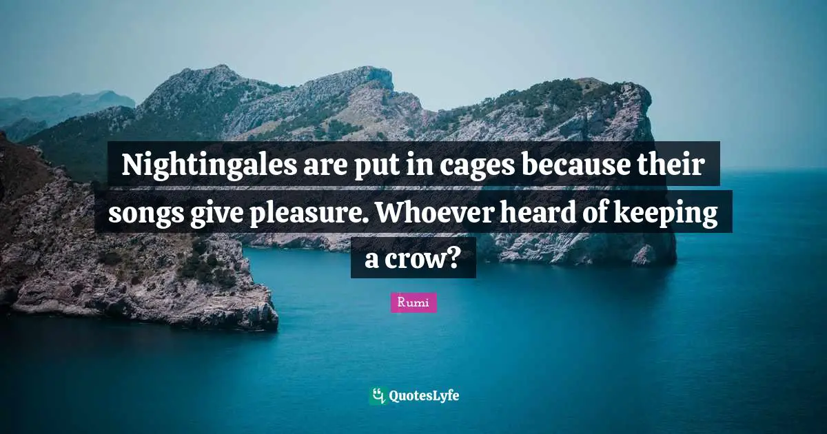 Nightingales are put in cages because their songs give pleasure. Whoever heard of keeping a crow?