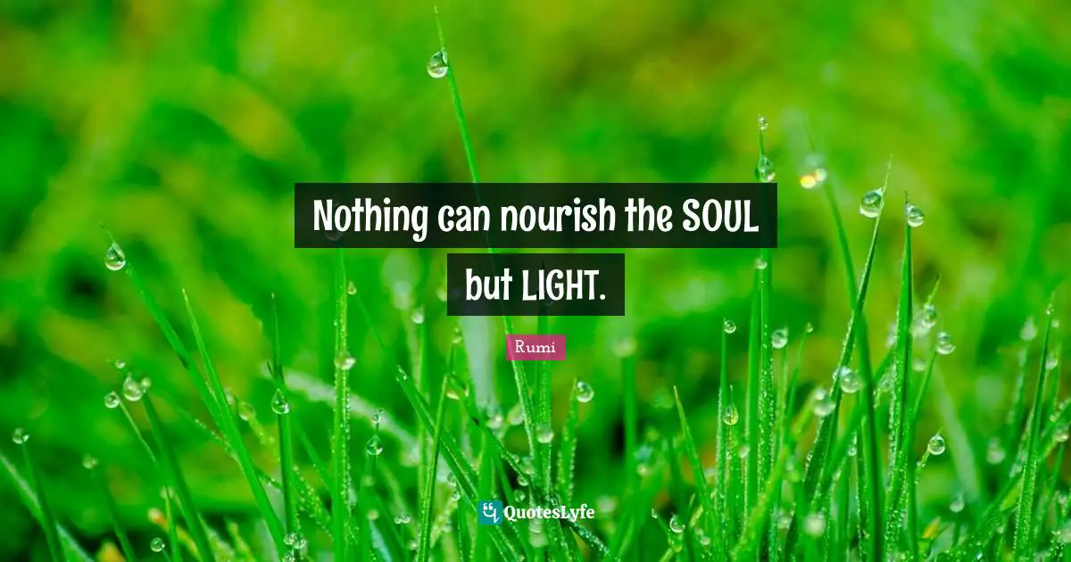 Nothing can nourish the SOUL but LIGHT.
