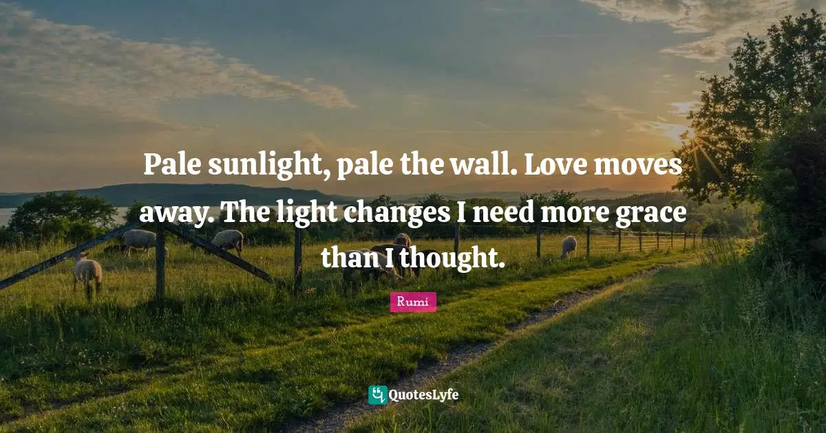 Pale sunlight, pale the wall. Love moves away. The light changes I need more grace than I thought.