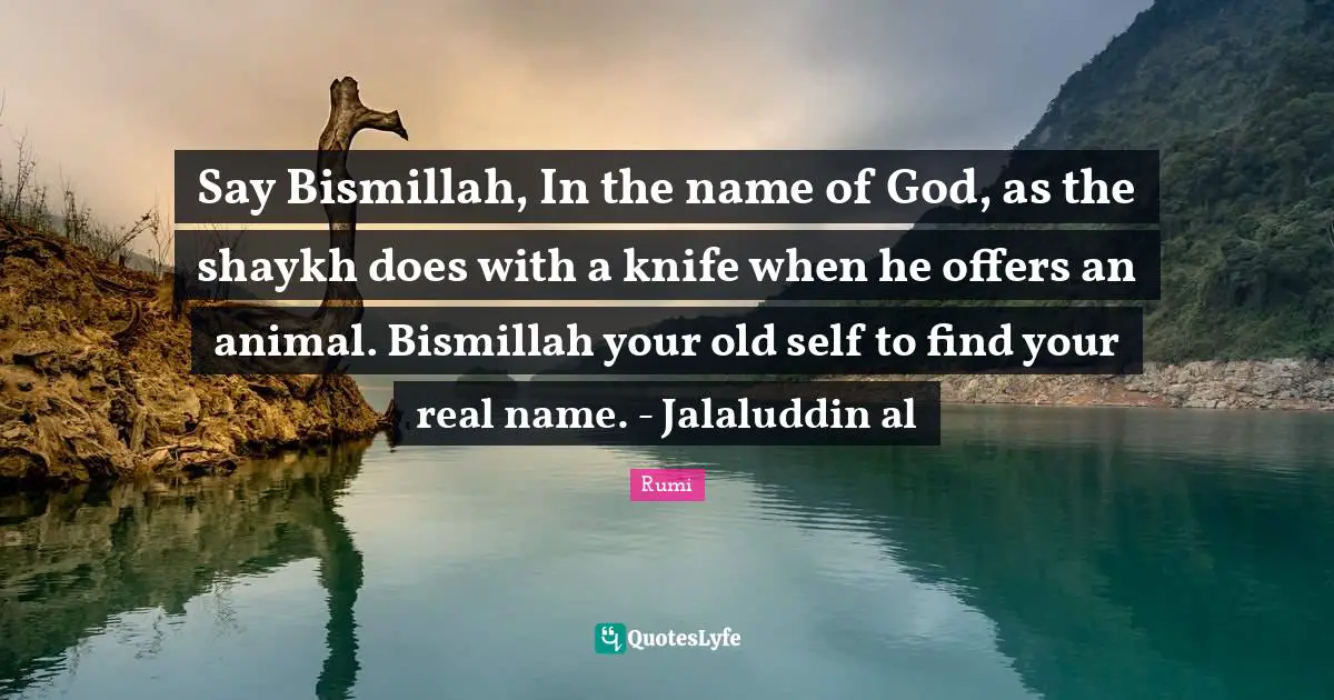 Say Bismillah, In the name of God, as the shaykh does with a knife when he offers an animal. Bismillah your old self to find your real name. - Jalaluddin al