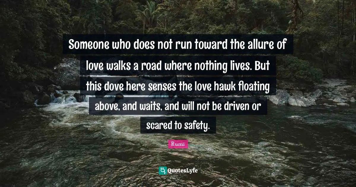 Someone who does not run toward the allure of love walks a road where nothing lives. But this dove here senses the love hawk floating above, and waits, and will not be driven or scared to safety.