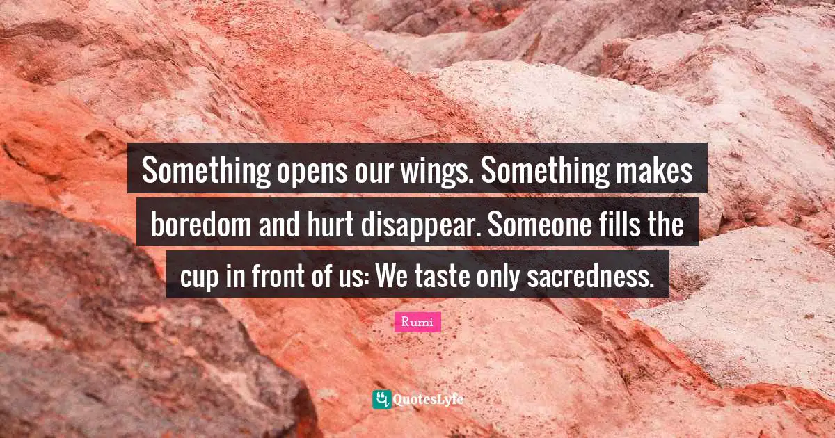 Something opens our wings. Something makes boredom and hurt disappear. Someone fills the cup in front of us: We taste only sacredness.