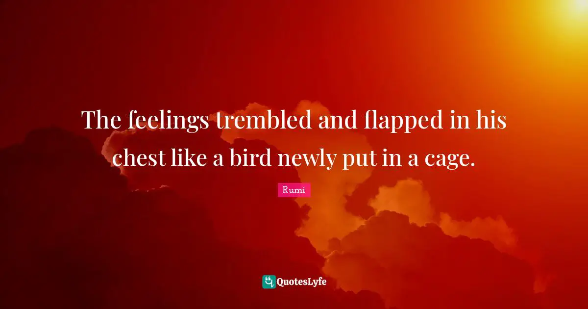The feelings trembled and flapped in his chest like a bird newly put in a cage.