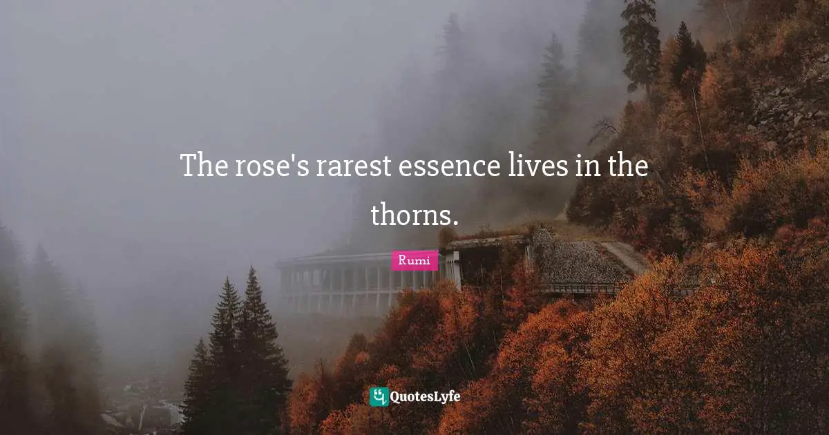 The rose's rarest essence lives in the thorns.