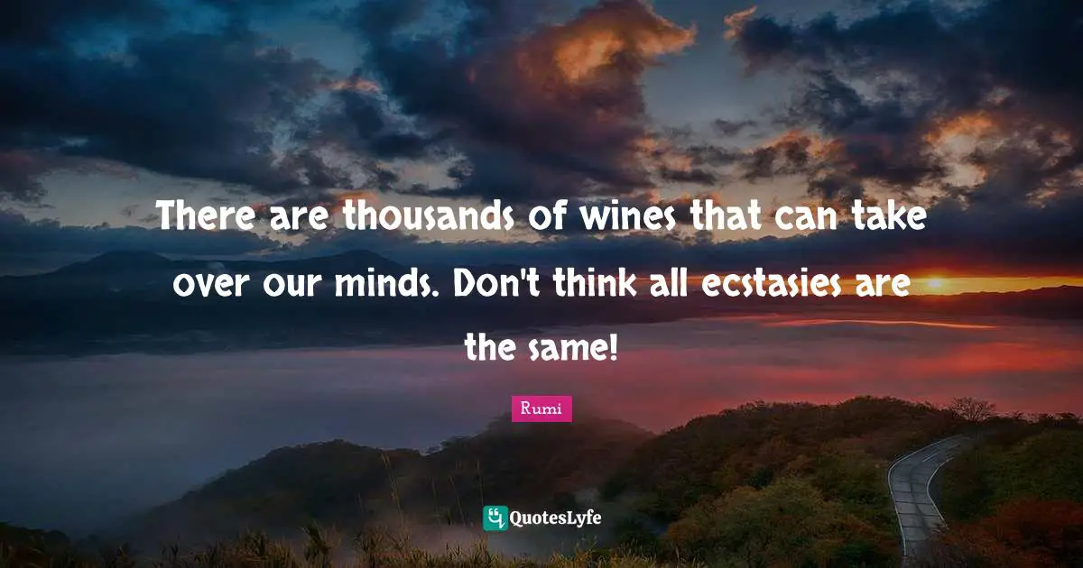 There are thousands of wines that can take over our minds. Don't think all ecstasies are the same!