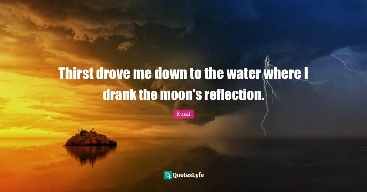 Thirst Quotes: "Thirst drove me down to the water where I drank the moon's reflection."