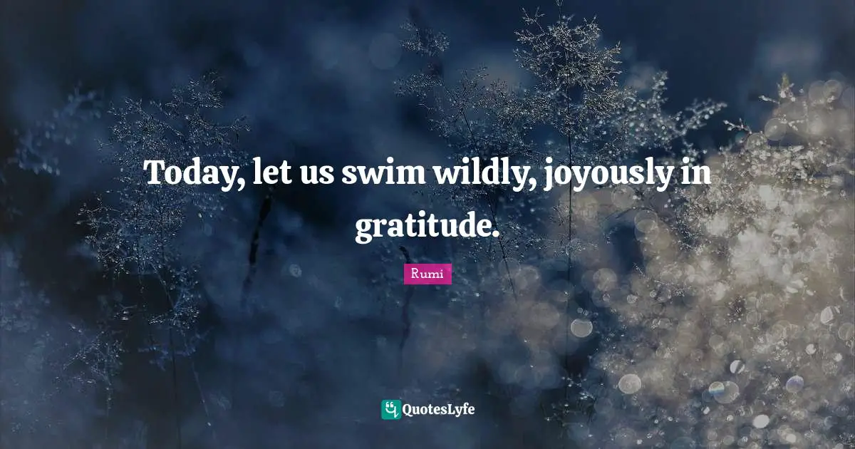 Today, let us swim wildly, joyously in gratitude.