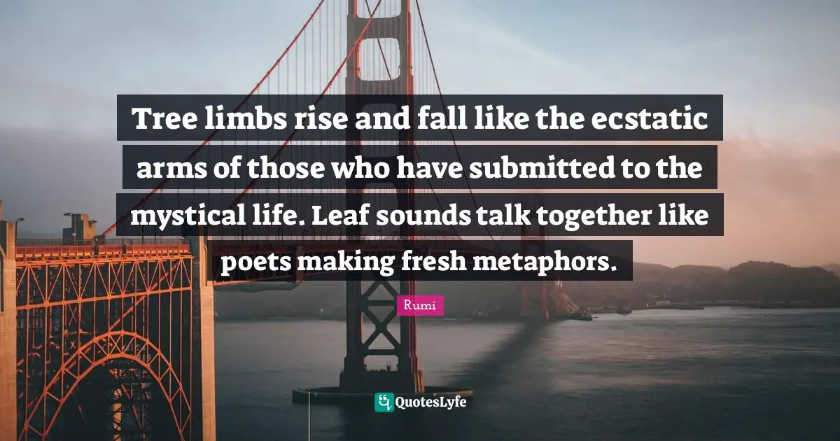 Ecstatic Quotes: "Tree limbs rise and fall like the ecstatic arms of those who have submitted to the mystical life. Leaf sounds talk together like poets making fresh metaphors."