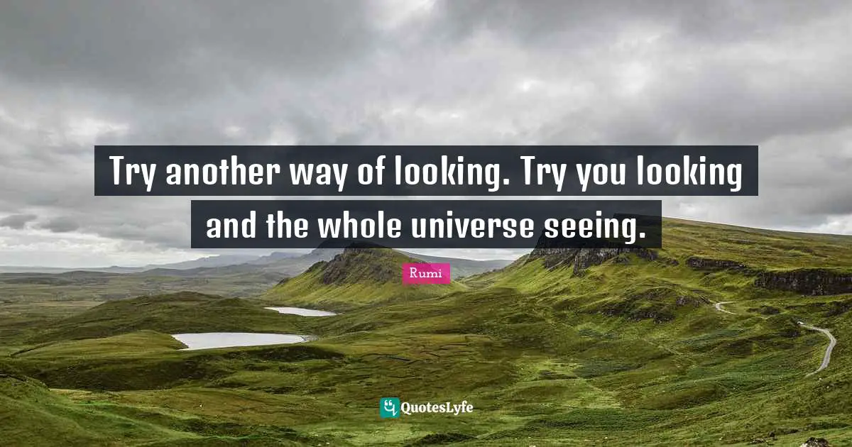 Whole Universe Quotes: "Try another way of looking. Try you looking and the whole universe seeing."