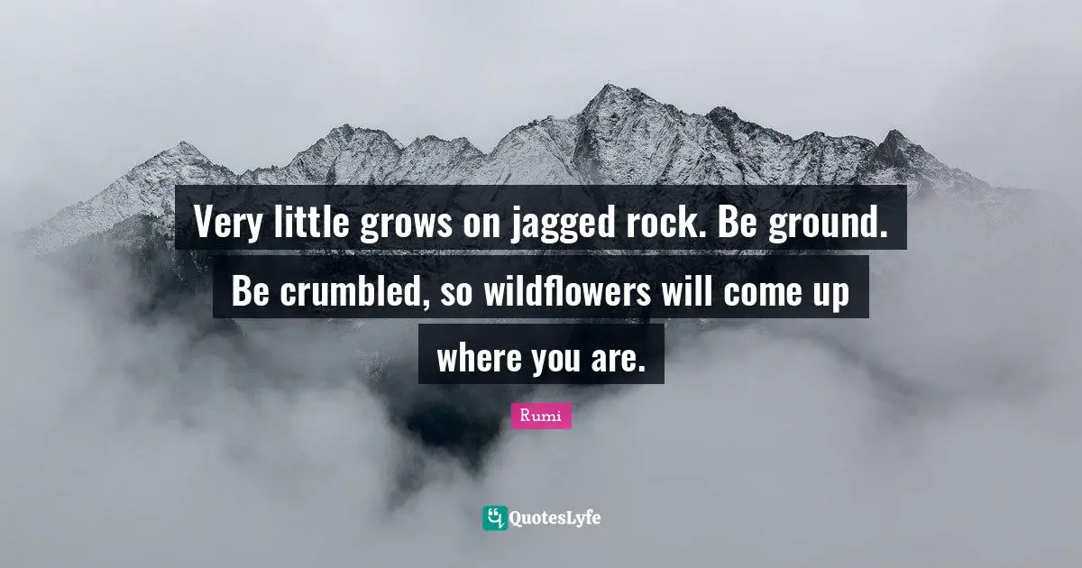 Rumi Quotes: "Very little grows on jagged rock. Be ground. Be crumbled, so wildflowers will come up where you are."