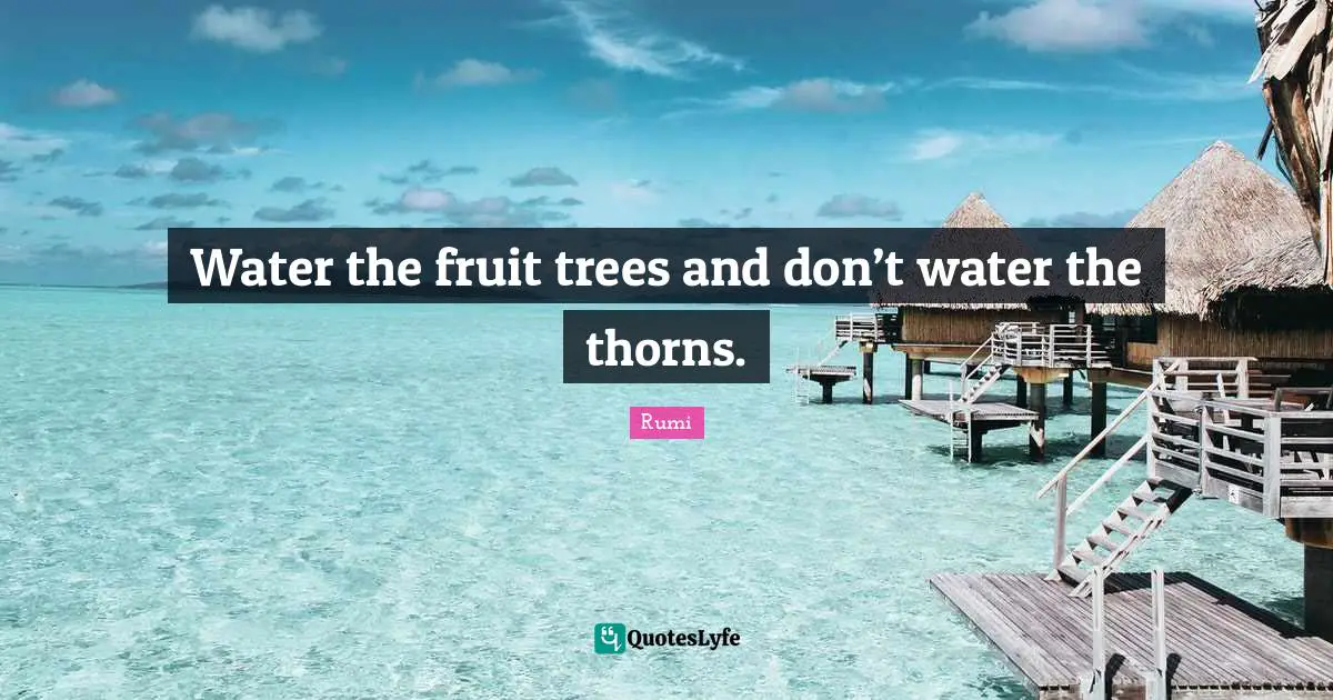 Water the fruit trees and don’t water the thorns.