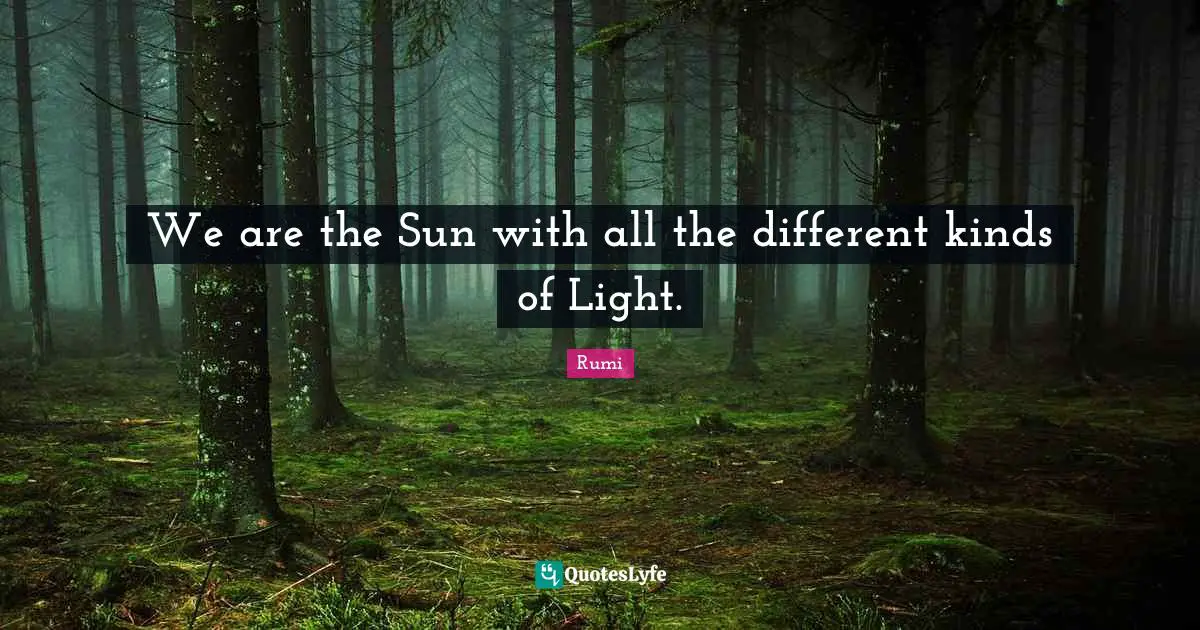 We are the Sun with all the different kinds of Light.
