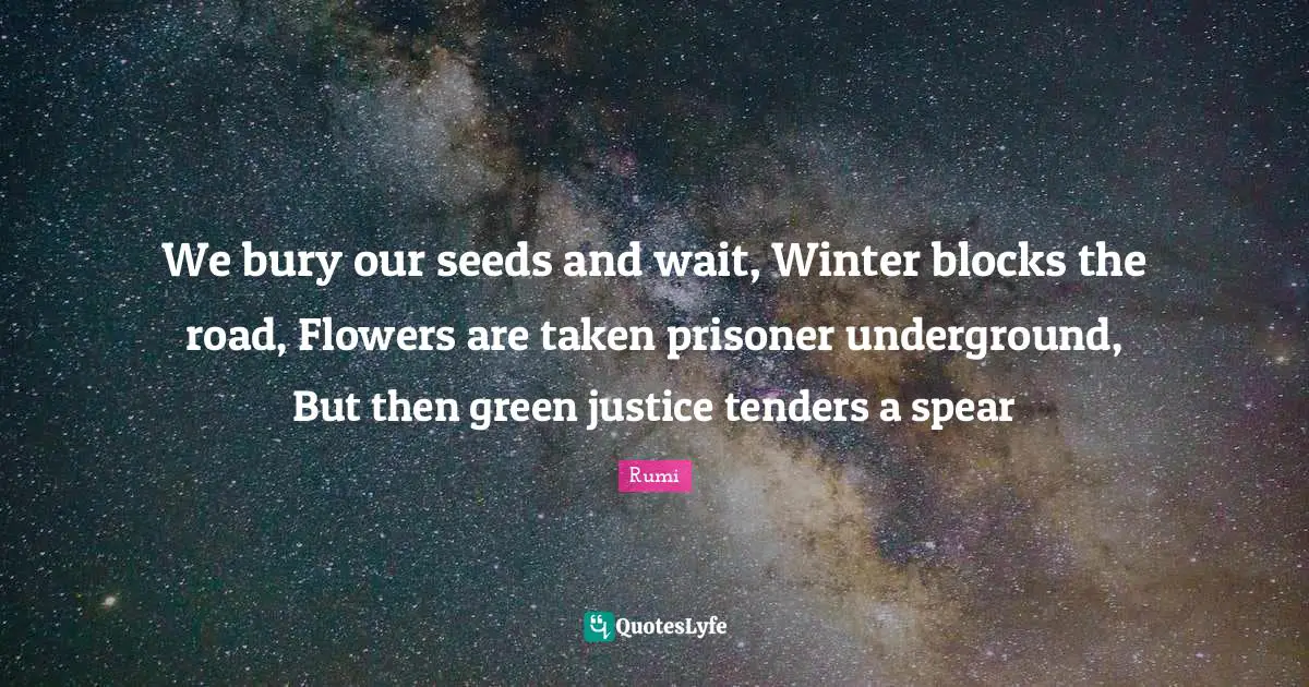 We bury our seeds and wait, Winter blocks the road, Flowers are taken prisoner underground, But then green justice tenders a spear