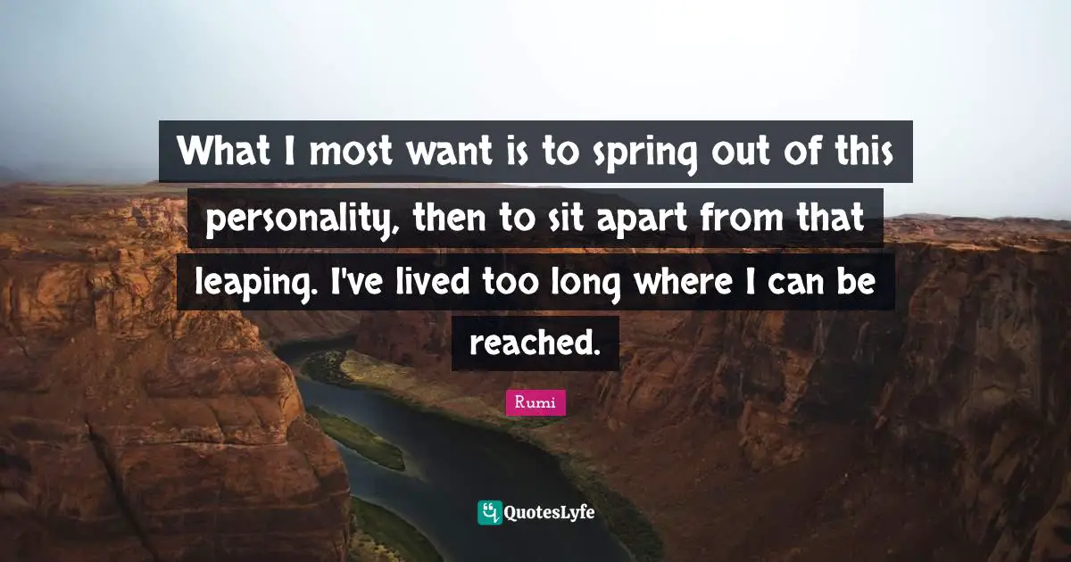 What I most want is to spring out of this personality, then to sit apart from that leaping. I've lived too long where I can be reached.