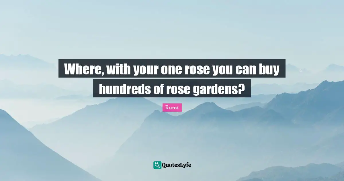 Where, with your one rose you can buy hundreds of rose gardens?
