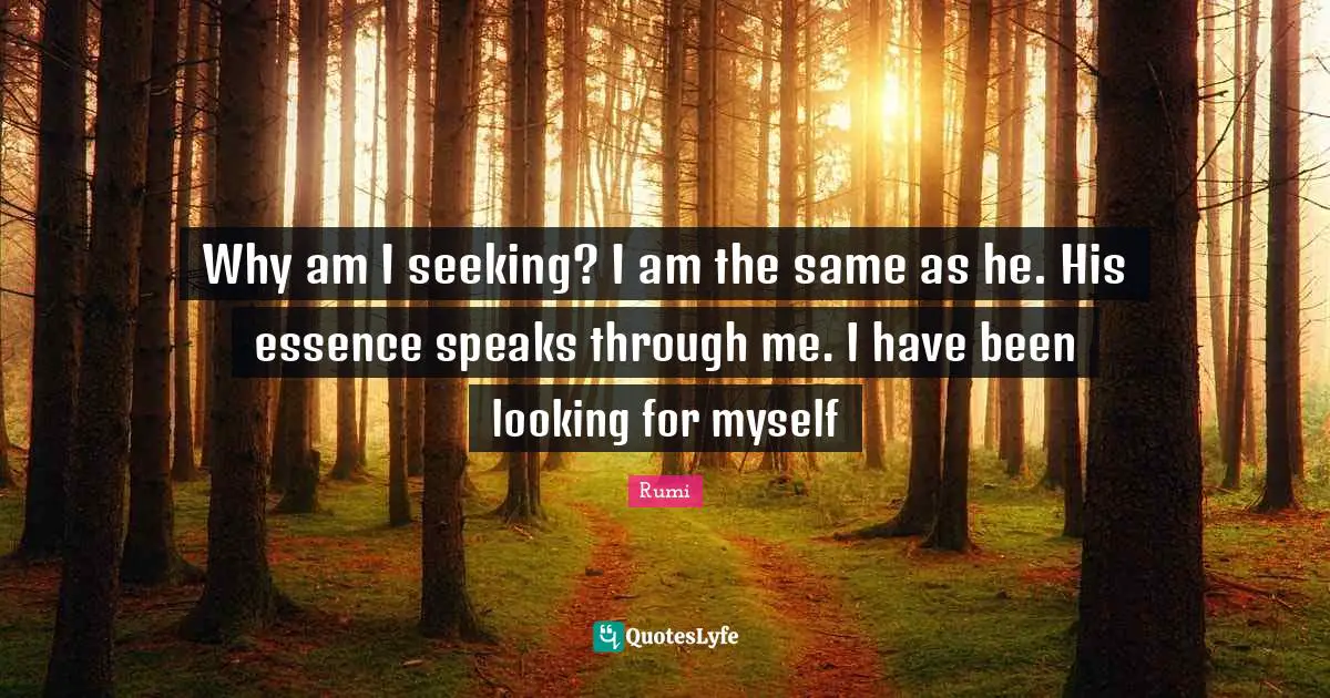 Why am I seeking? I am the same as he. His essence speaks through me. I have been looking for myself