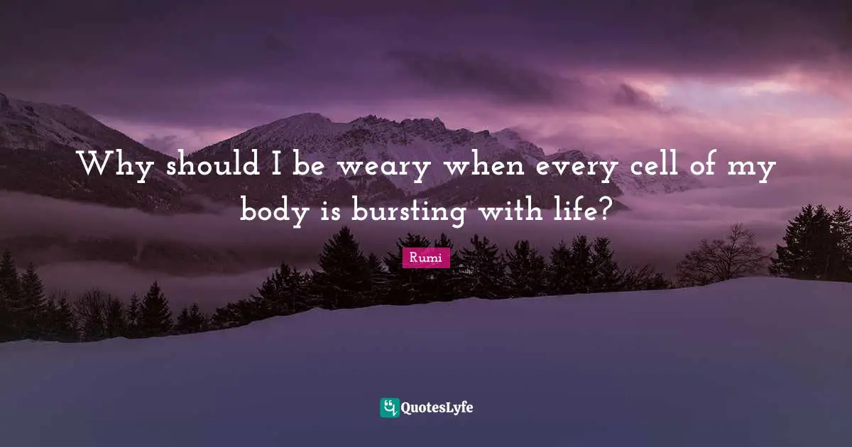 Weary Quotes: "Why should I be weary when every cell of my body is bursting with life?"