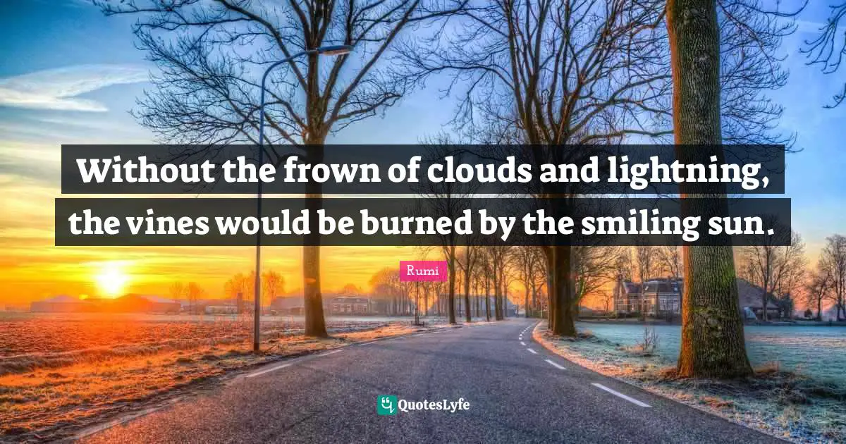 Lightning Quotes: "Without the frown of clouds and lightning, the vines would be burned by the smiling sun."