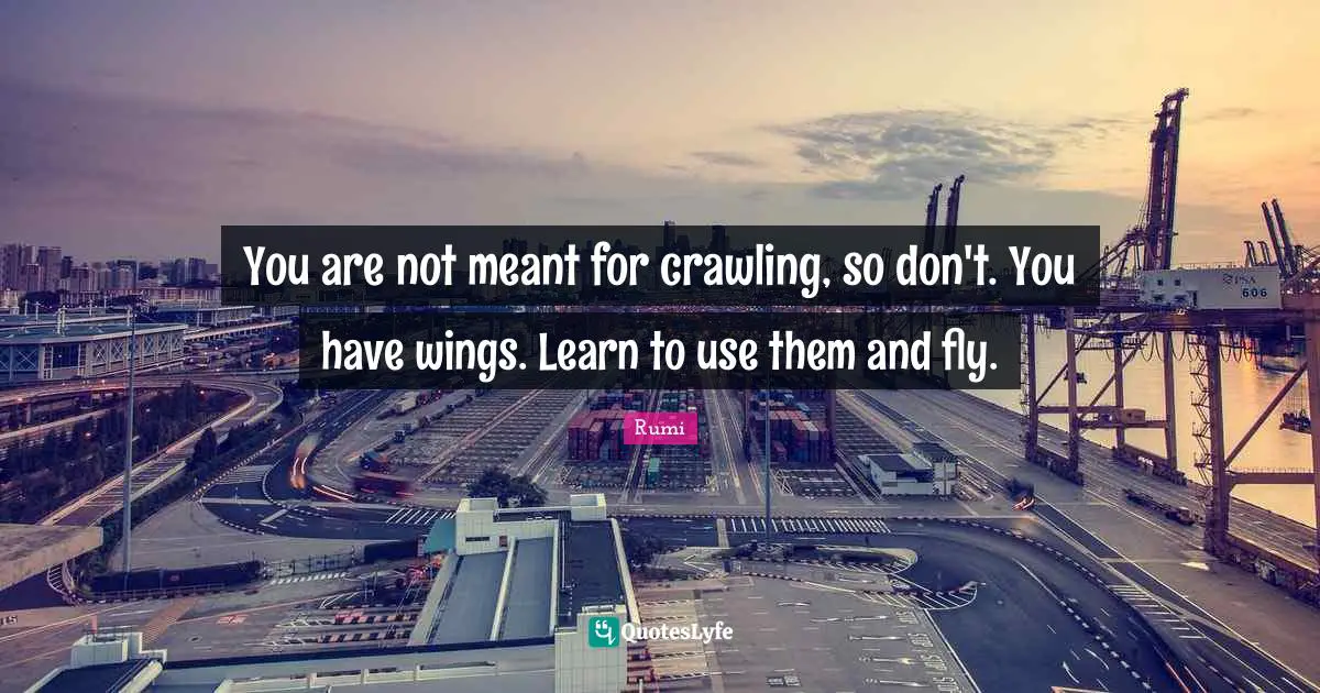 You are not meant for crawling, so don't. You have wings. Learn to use them and fly.