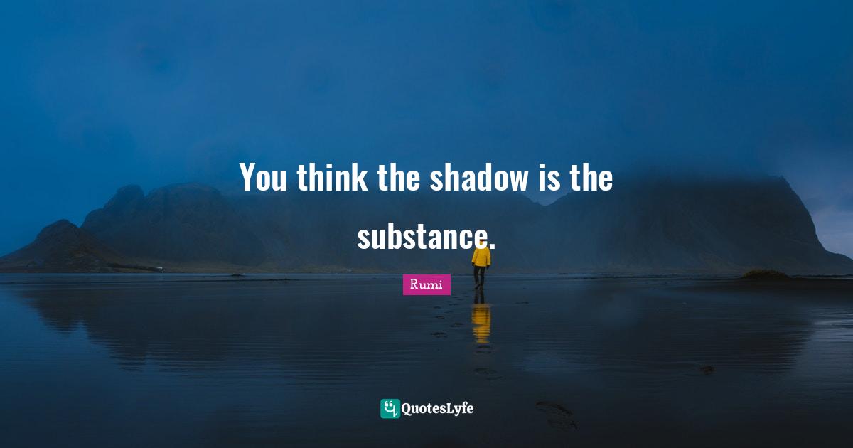 You think the shadow is the substance.