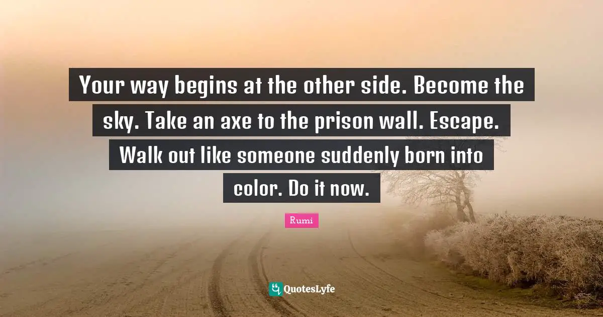Your way begins at the other side. Become the sky. Take an axe to the prison wall. Escape. Walk out like someone suddenly born into color. Do it now.