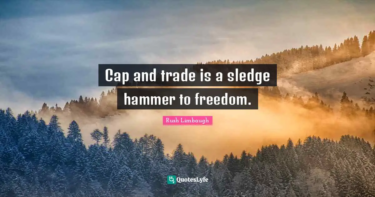 Cap and trade is a sledge hammer to freedom.