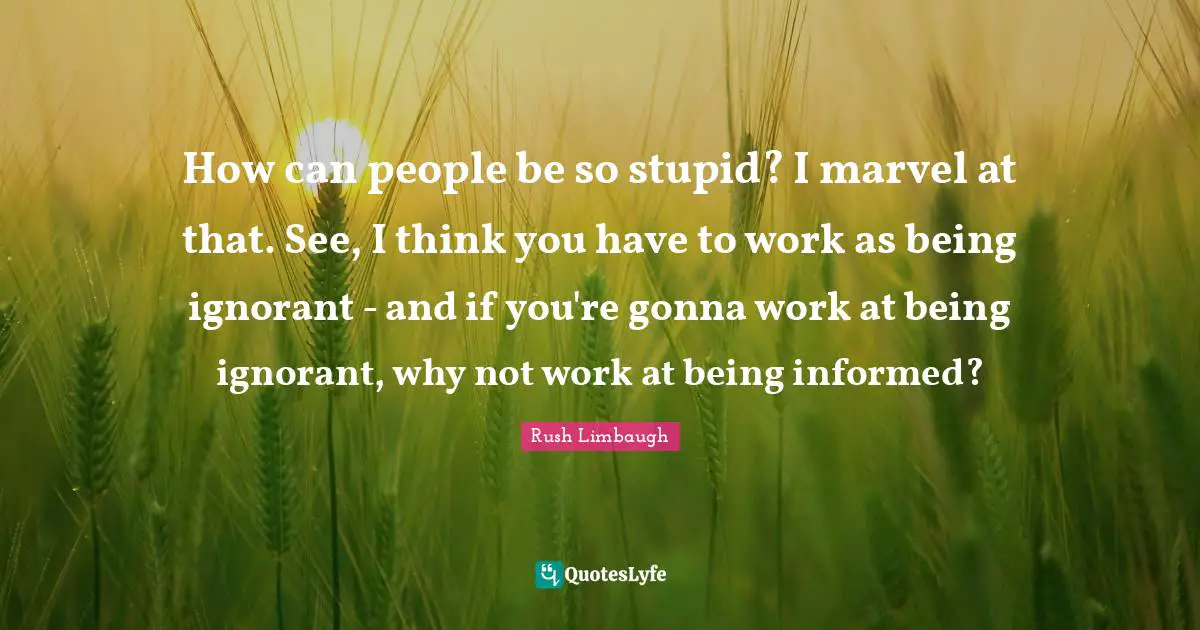 How can people be so stupid? I marvel at that. See, I think you have to work as being ignorant - and if you're gonna work at being ignorant, why not work at being informed?