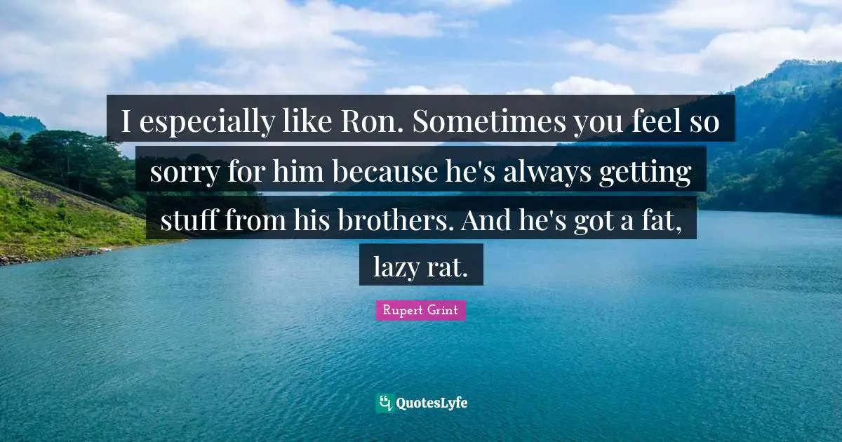 I especially like Ron. Sometimes you feel so sorry for him because he's always getting stuff from his brothers. And he's got a fat, lazy rat.