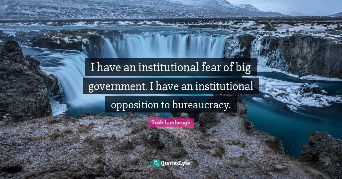 I have an institutional fear of big government. I have an institutional opposition to bureaucracy.