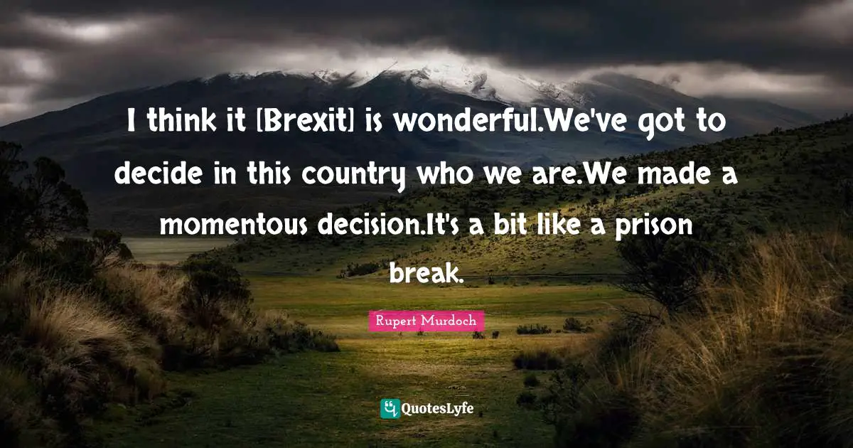 Prison Break Quotes: "I think it [Brexit] is wonderful.We've got to decide in this country who we are.We made a momentous decision.It's a bit like a prison break."